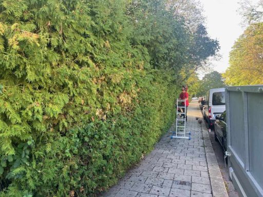 Patrick Weihe Heckenschnitt als Gartenservice
